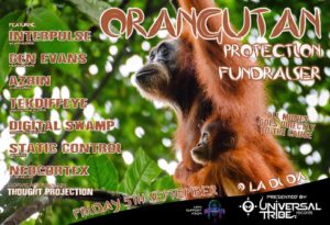Orangutan Protection Fundraiser